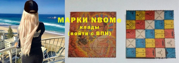 бошки Бородино