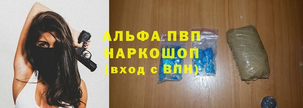 бошки Бородино