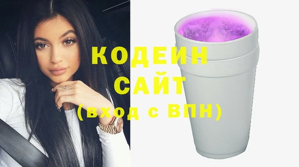 бошки Бородино