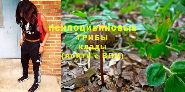 прущий лед Сясьстрой