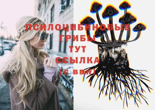 a pvp Бронницы