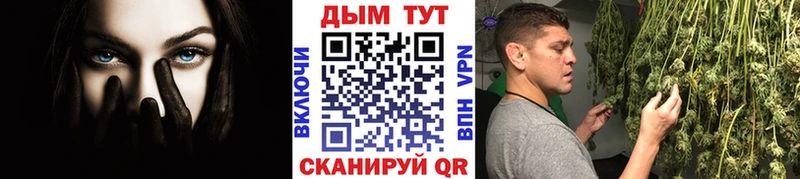 Канабис гибрид где продают наркотики Мончегорск